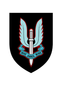 9. Military / Tactical Elite Selection
